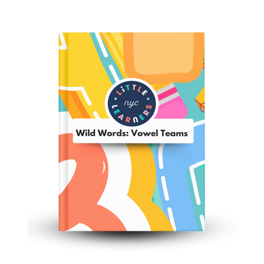 Wild Words Vowel Teams Card Game